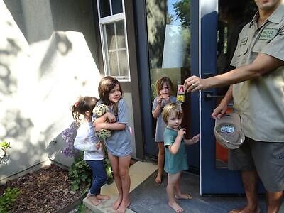 Buffalo pest control